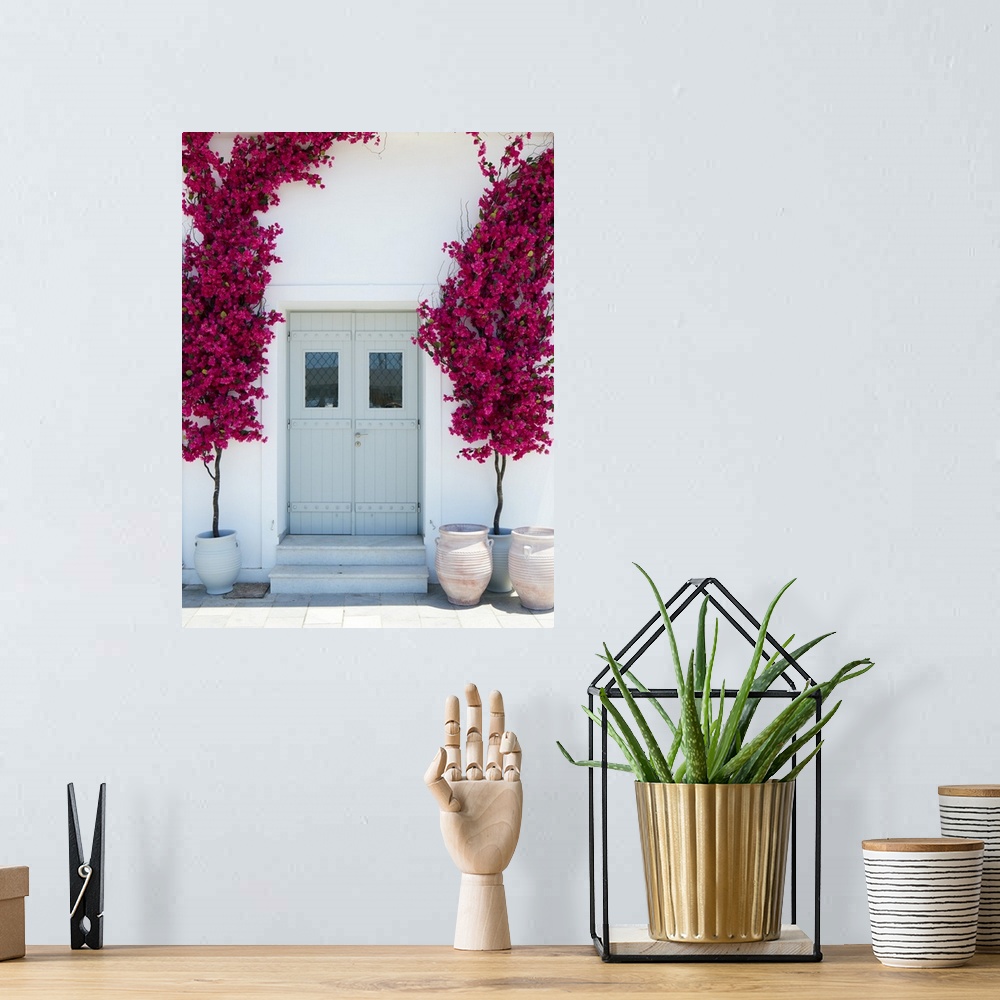 A bohemian room featuring Plastic bougainvillea decoration surrounding a mint coloured door in Naxos city, Naxos, Cyclades,...