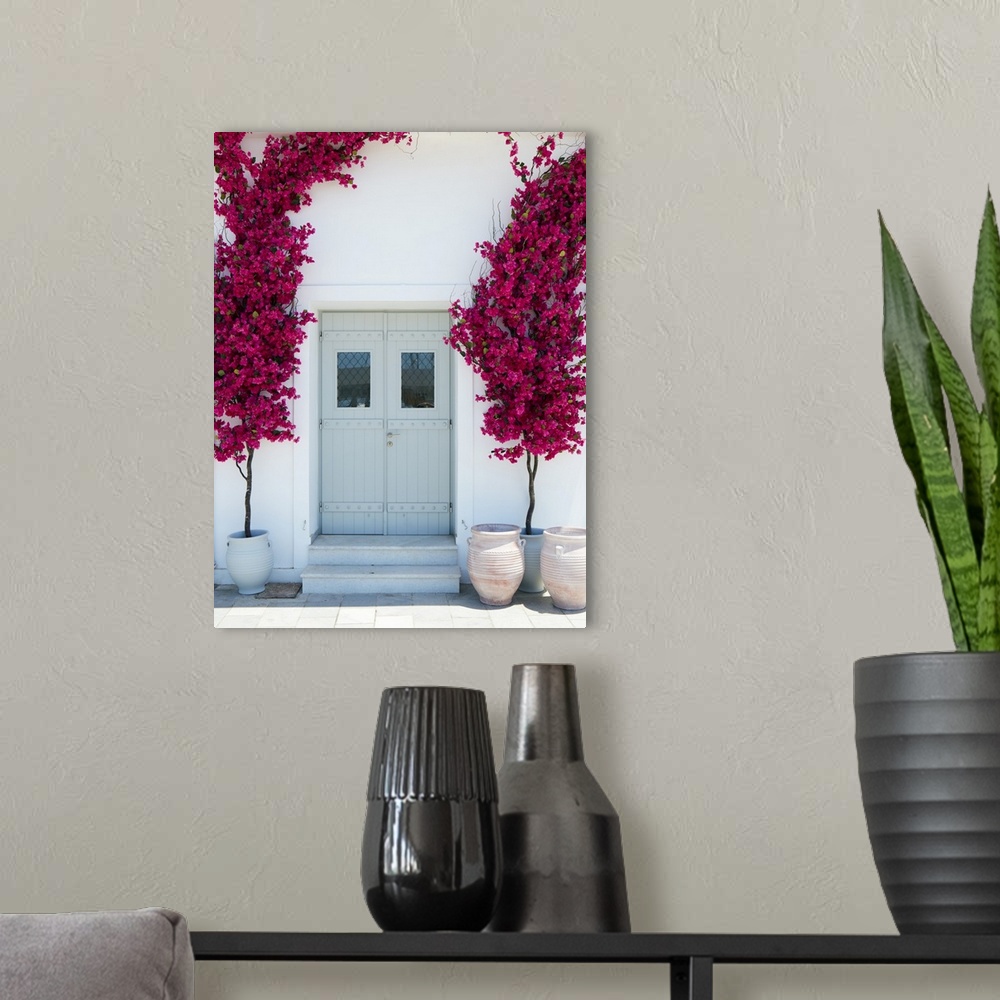 A modern room featuring Plastic bougainvillea decoration surrounding a mint coloured door in Naxos city, Naxos, Cyclades,...