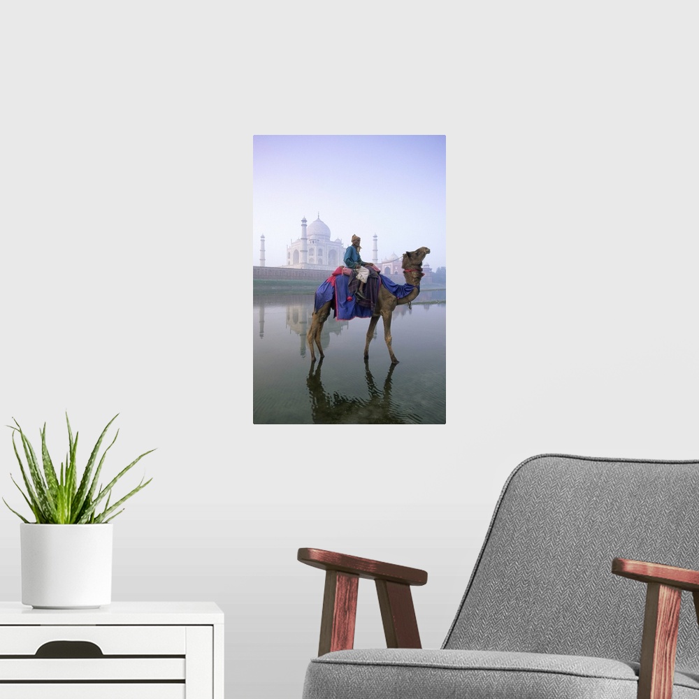 A modern room featuring Camel and rider in front of the Taj Mahal and Yamuna River, Taj Mahal, India
