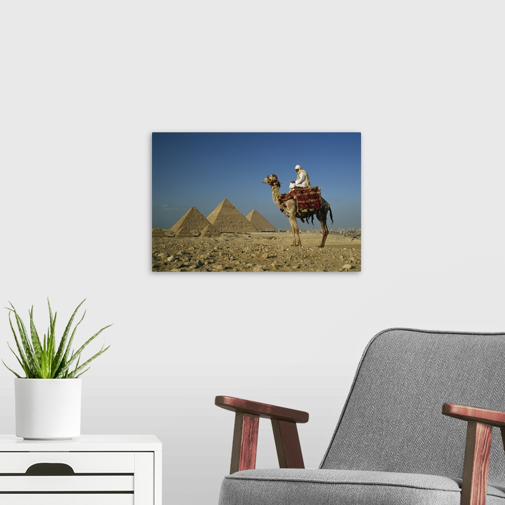 A modern room featuring Camel and rider near the Pyramids, UNESCO World Heritage Site, Giza, Cairo, Egypt