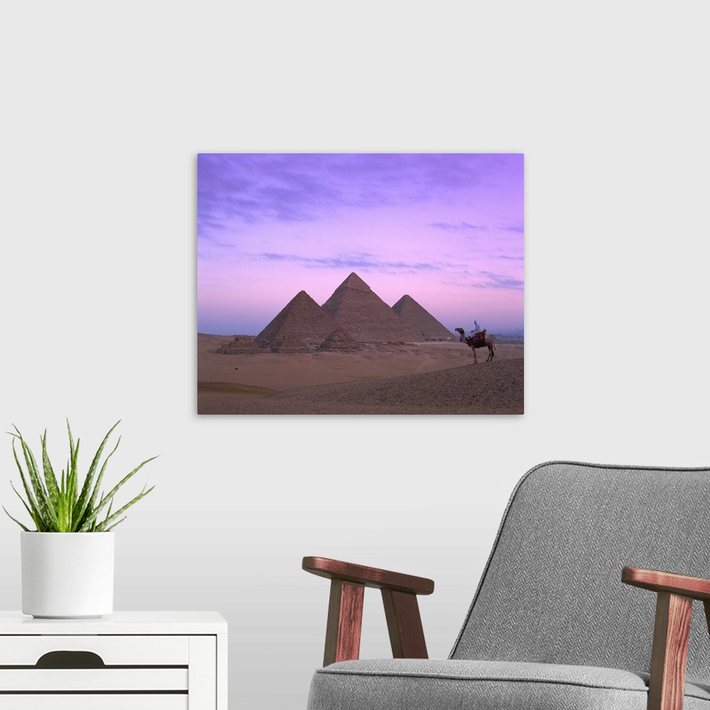 A modern room featuring Camel rider at Giza Pyramids, Giza, Cairo, Egypt, Africa