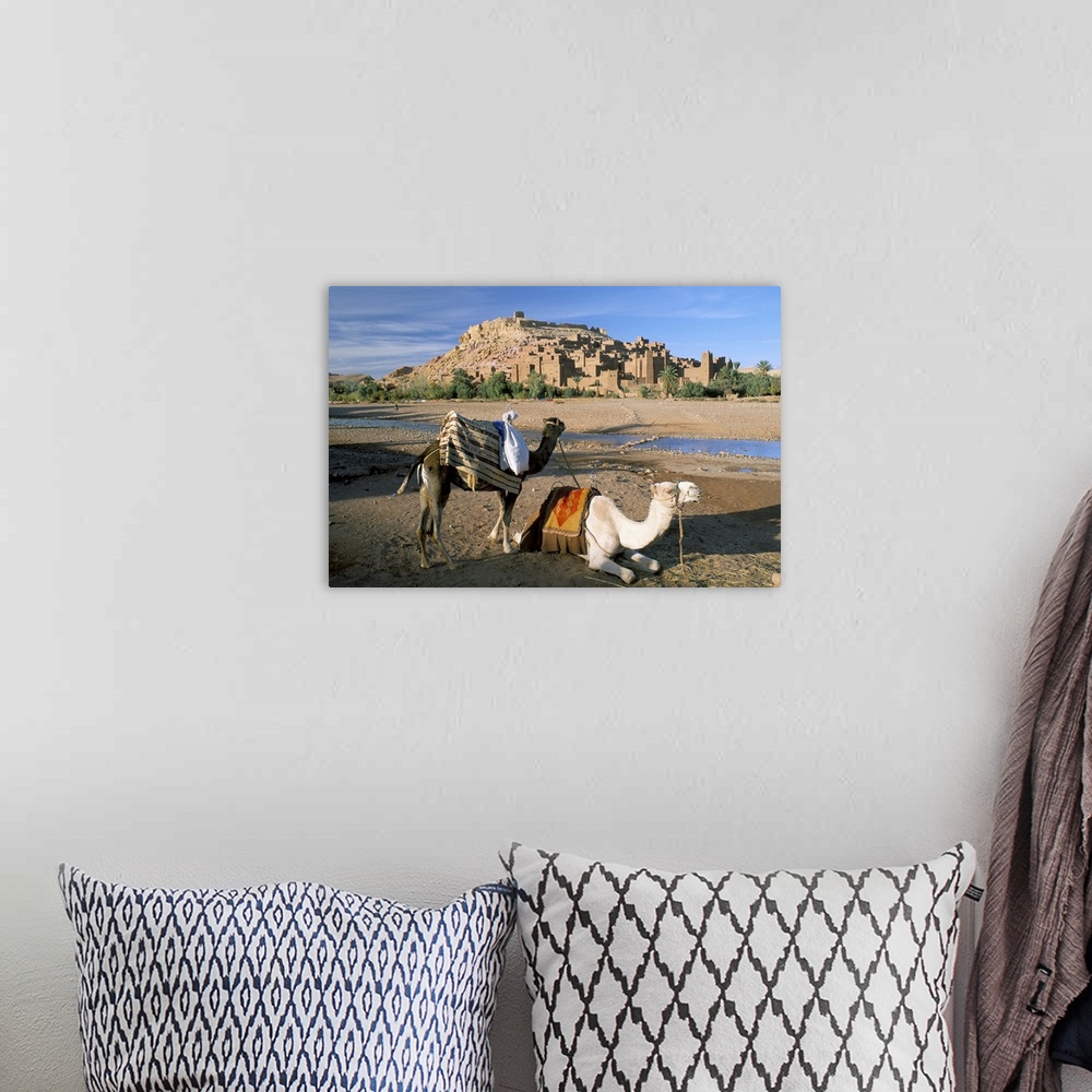 A bohemian room featuring Camels by riverbank with Kasbah Ait Benhaddou, in background, Morocco, Africa
