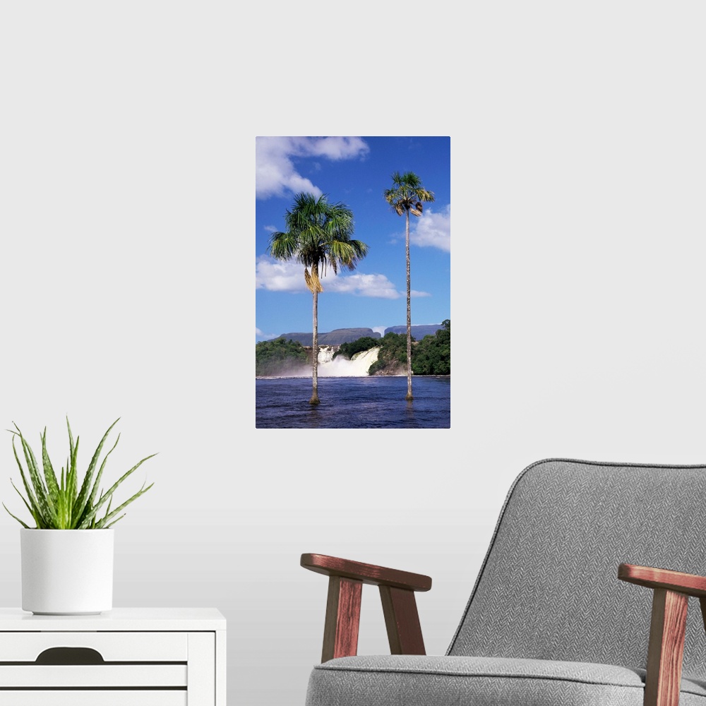 A modern room featuring Canaima, Gran Sabana, Venezuela, South America