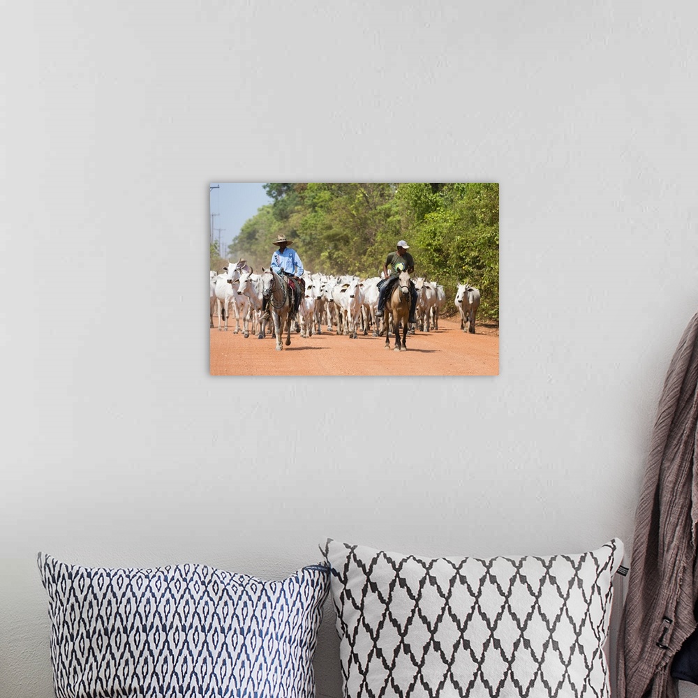 A bohemian room featuring Cattle herd, Pantanal, Mato Grosso, Brazil