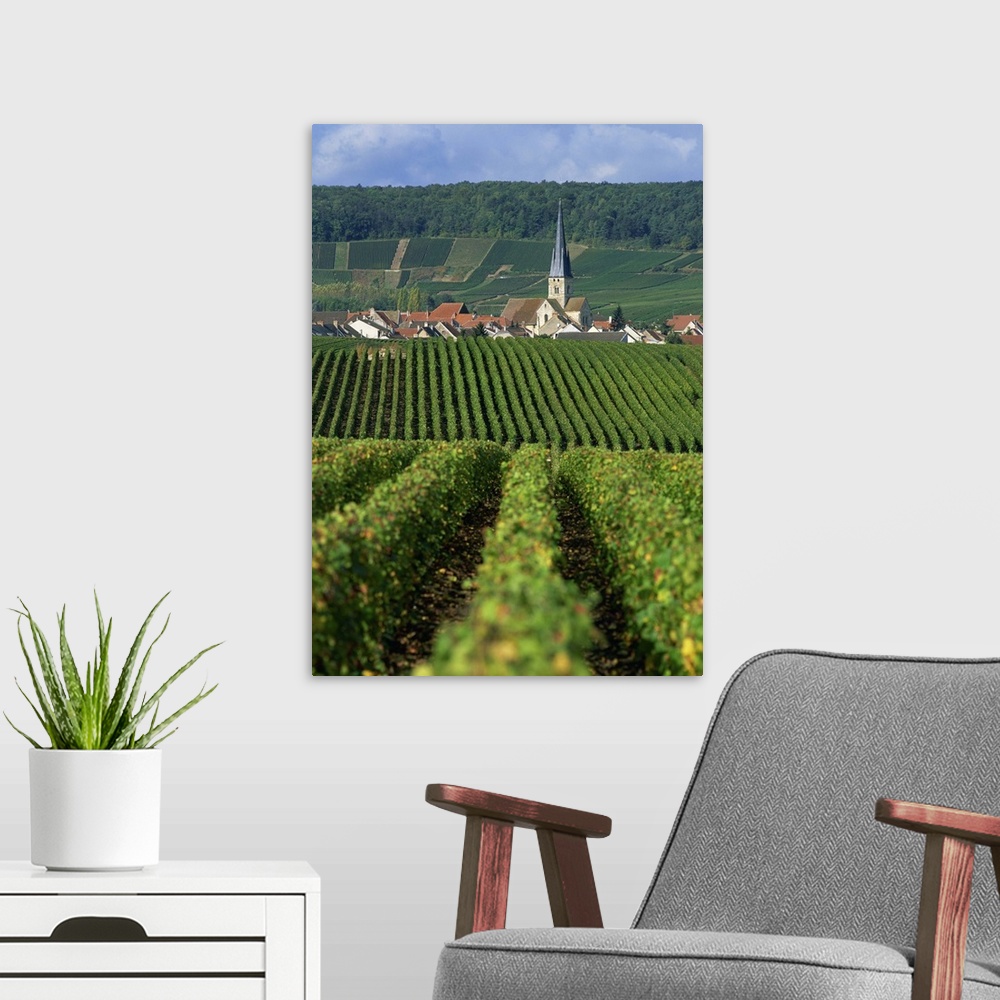 A modern room featuring Chamery, Montagne de Reims, Champagne, France, Europe