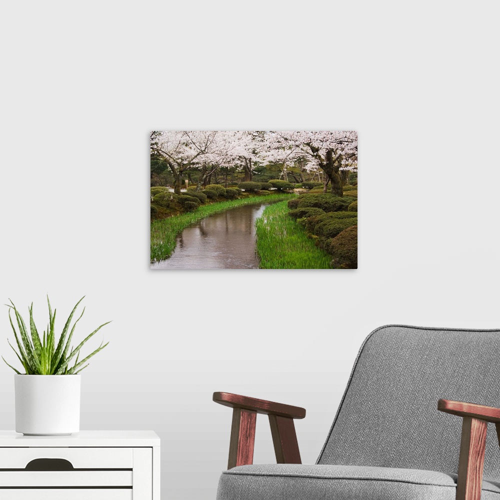 A modern room featuring Cherry blossom in Kenrokuen Garden, Kanazawa, Honshu Island, Japan