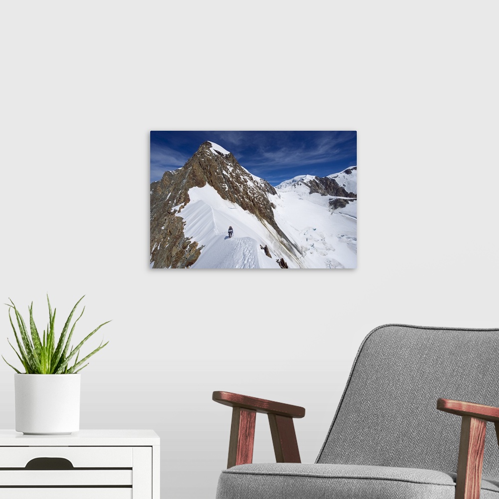 A modern room featuring Climber on snow ridge, Aiguille de Bionnassay, French Alps, France