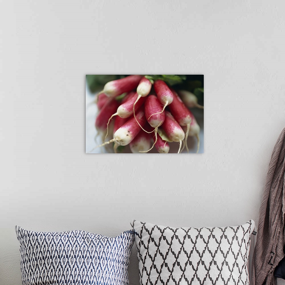 A bohemian room featuring Close-up of a bunch of radishes