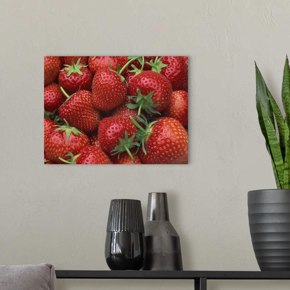 A modern room featuring Close-up of a number of red strawberries in Kent, England, UK