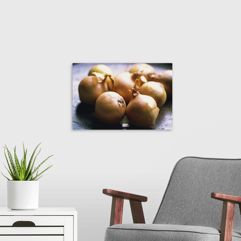 A modern room featuring Close-up of onions