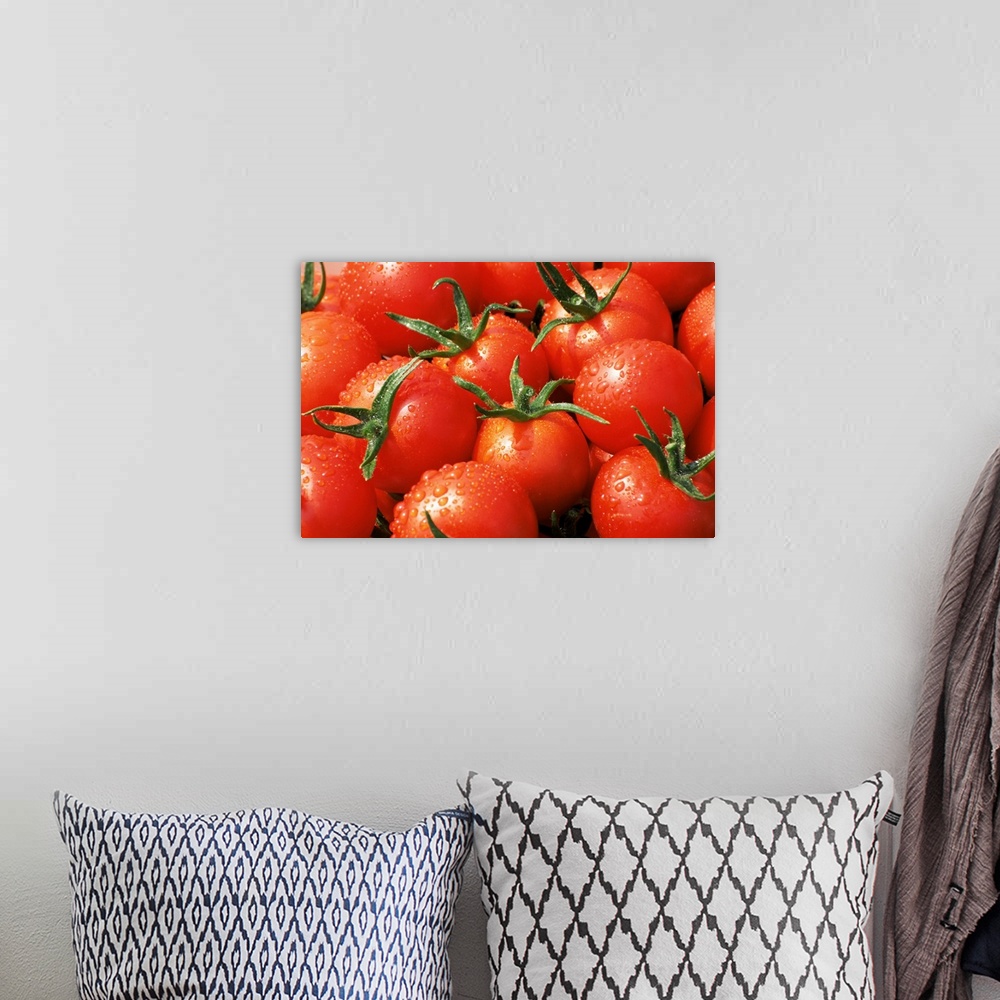 A bohemian room featuring Close-up of tomatoes, England, United Kingdom, Europe