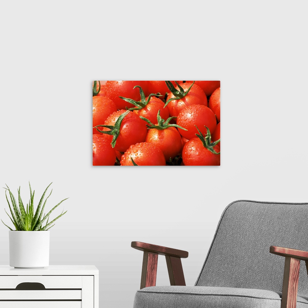 A modern room featuring Close-up of tomatoes, England, United Kingdom, Europe