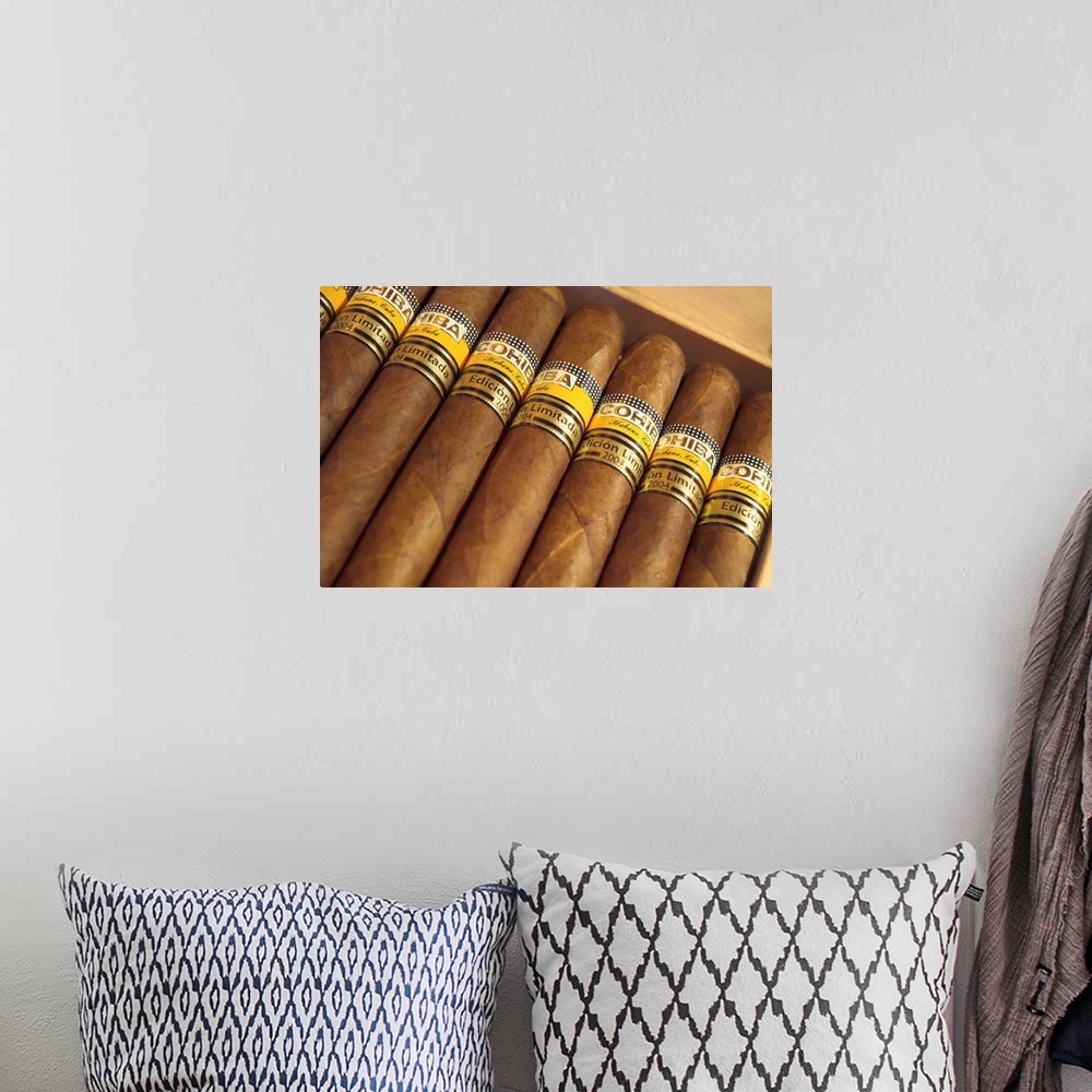 A bohemian room featuring Close-up photograph of limited edition cigars in a box, Cohiba, Havana, Cuba