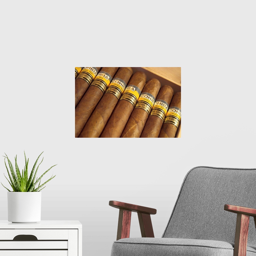 A modern room featuring Close-up photograph of limited edition cigars in a box, Cohiba, Havana, Cuba