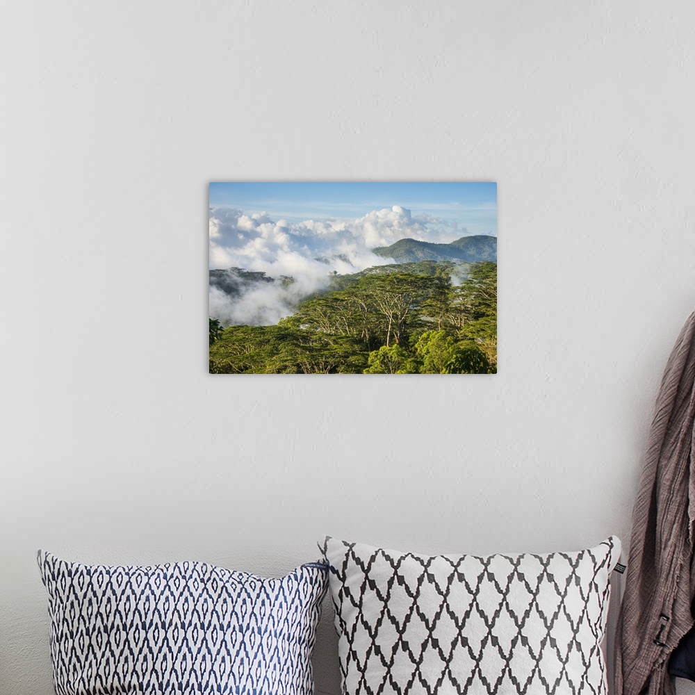 A bohemian room featuring Clouds rolling in the mountains around Suai, East Timor, Southeast Asia