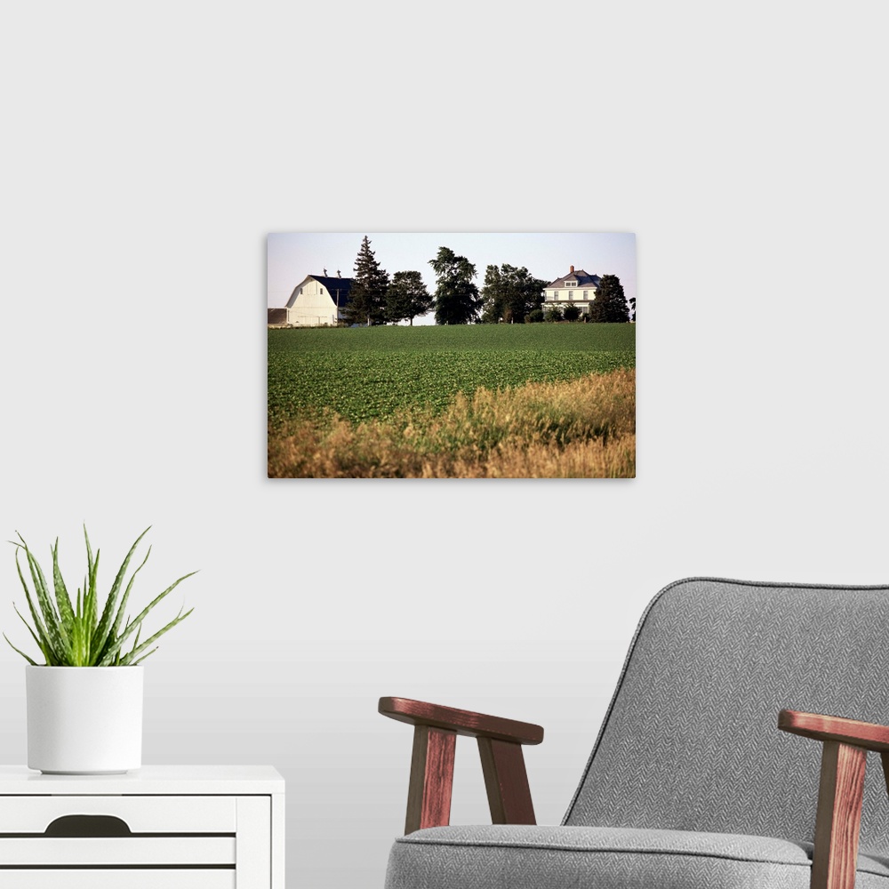 A modern room featuring Cornfarm, Hudson, Illinois, Midwest, United States of America, North America