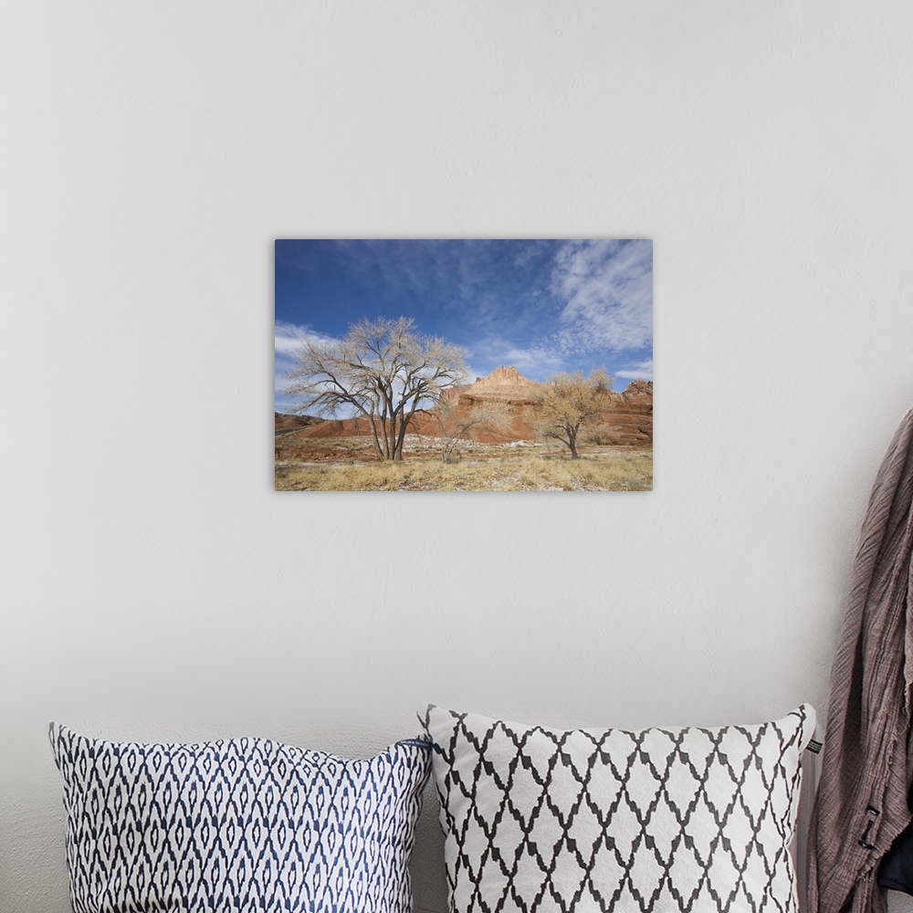 A bohemian room featuring Cottonwood tree and The Castle, Capitol Reef National Park, Utah