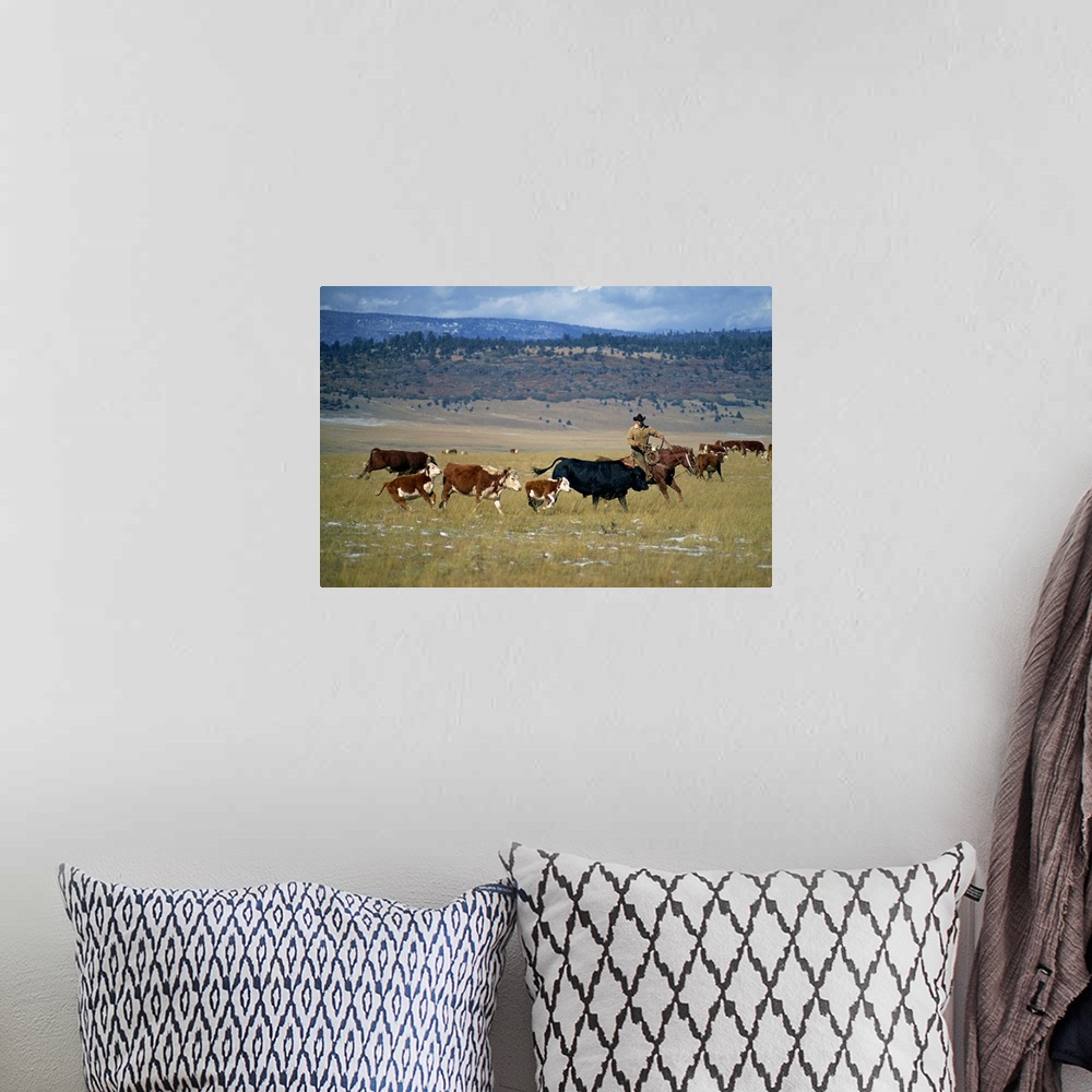 A bohemian room featuring Cowboy rounding up cattle, Diamond Ranch, New Mexico, USA