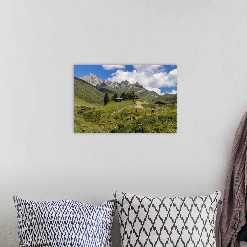 A bohemian room featuring Cows and mountain hut in summer, Aurina Valley, Dolomites, South Tyrol, Italy, Europe