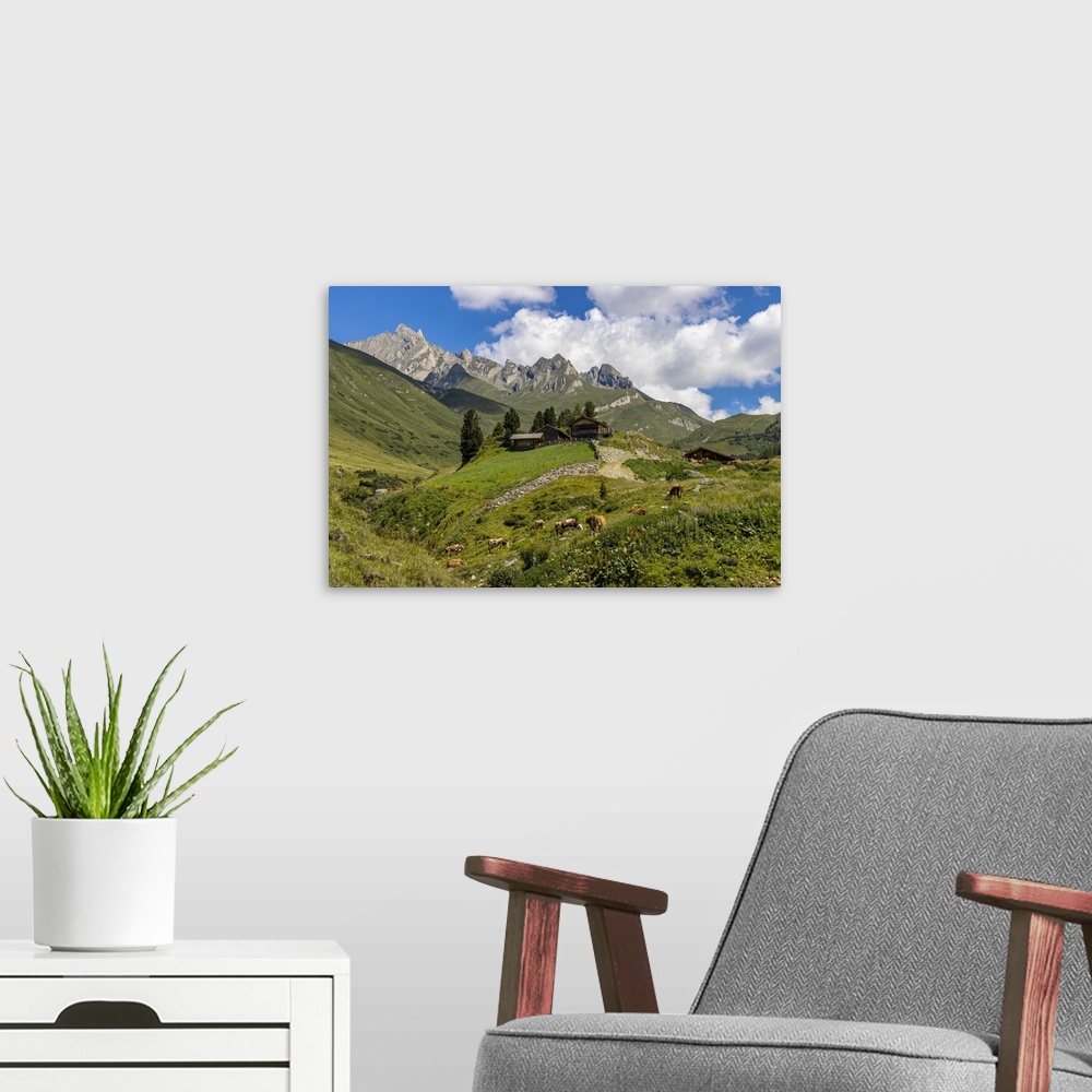A modern room featuring Cows and mountain hut in summer, Aurina Valley, Dolomites, South Tyrol, Italy, Europe