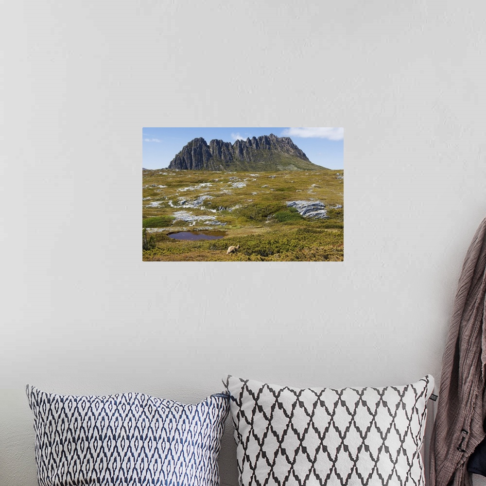 A bohemian room featuring Cradle Mountain, part of Tasmanian Wilderness, Tasmania, Australia
