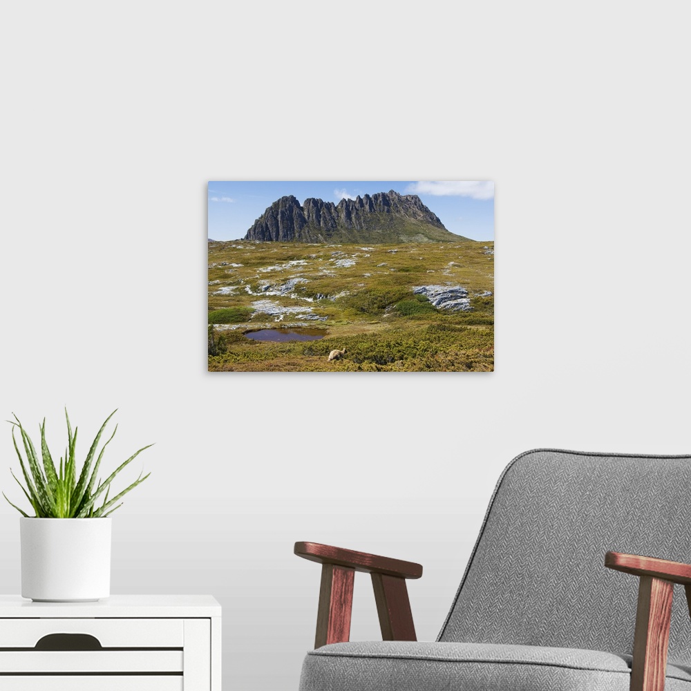 A modern room featuring Cradle Mountain, part of Tasmanian Wilderness, Tasmania, Australia