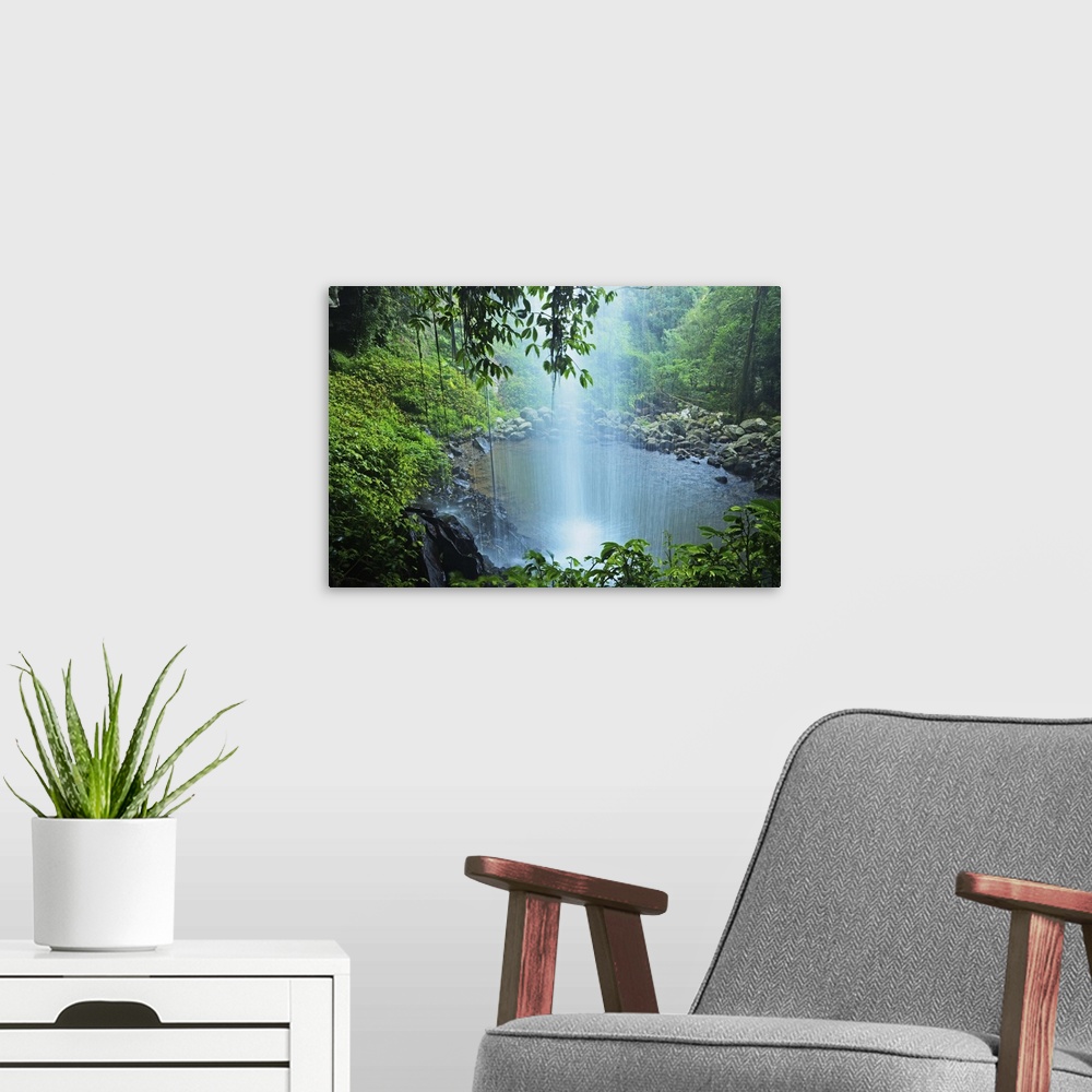 A modern room featuring Crystal Shower Falls, Dorrigo National Park, New South Wales, Australia