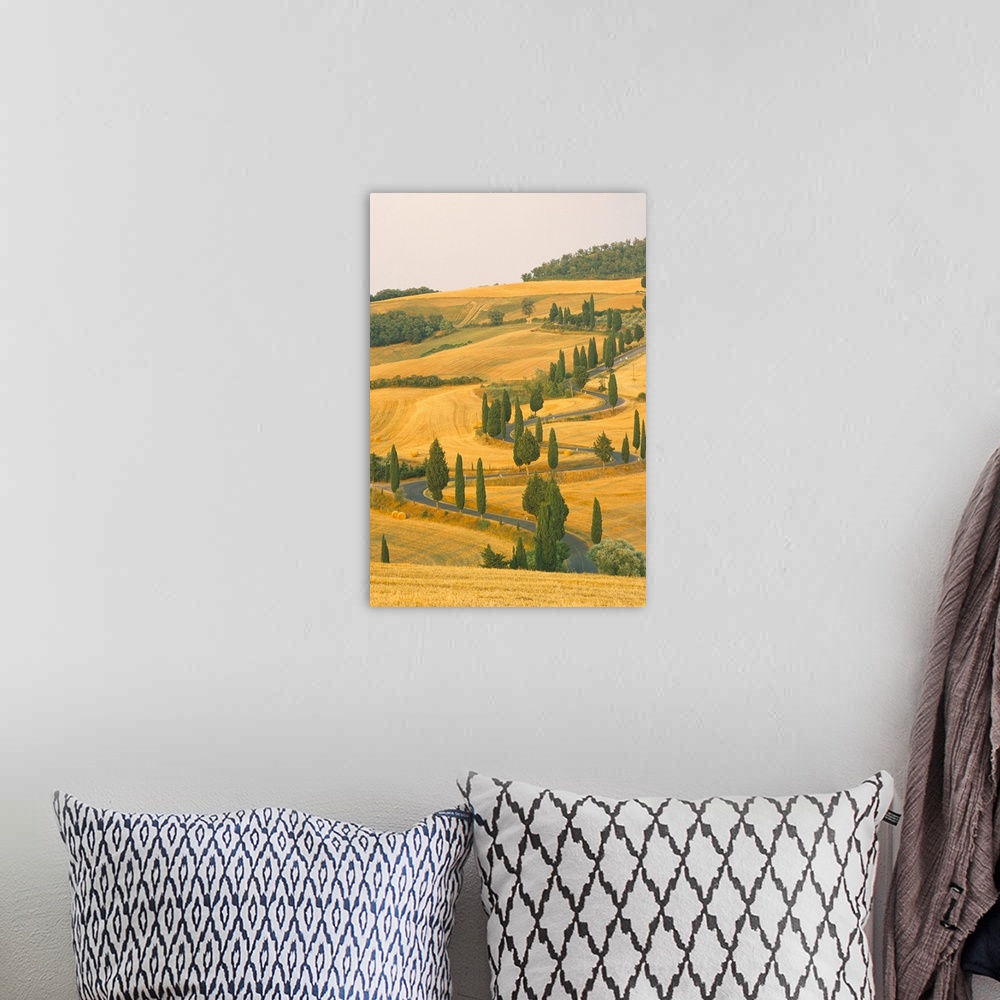 A bohemian room featuring Cypress trees along rural road near Pienza, Val d'Orica, Siena province, Tuscany, Italy