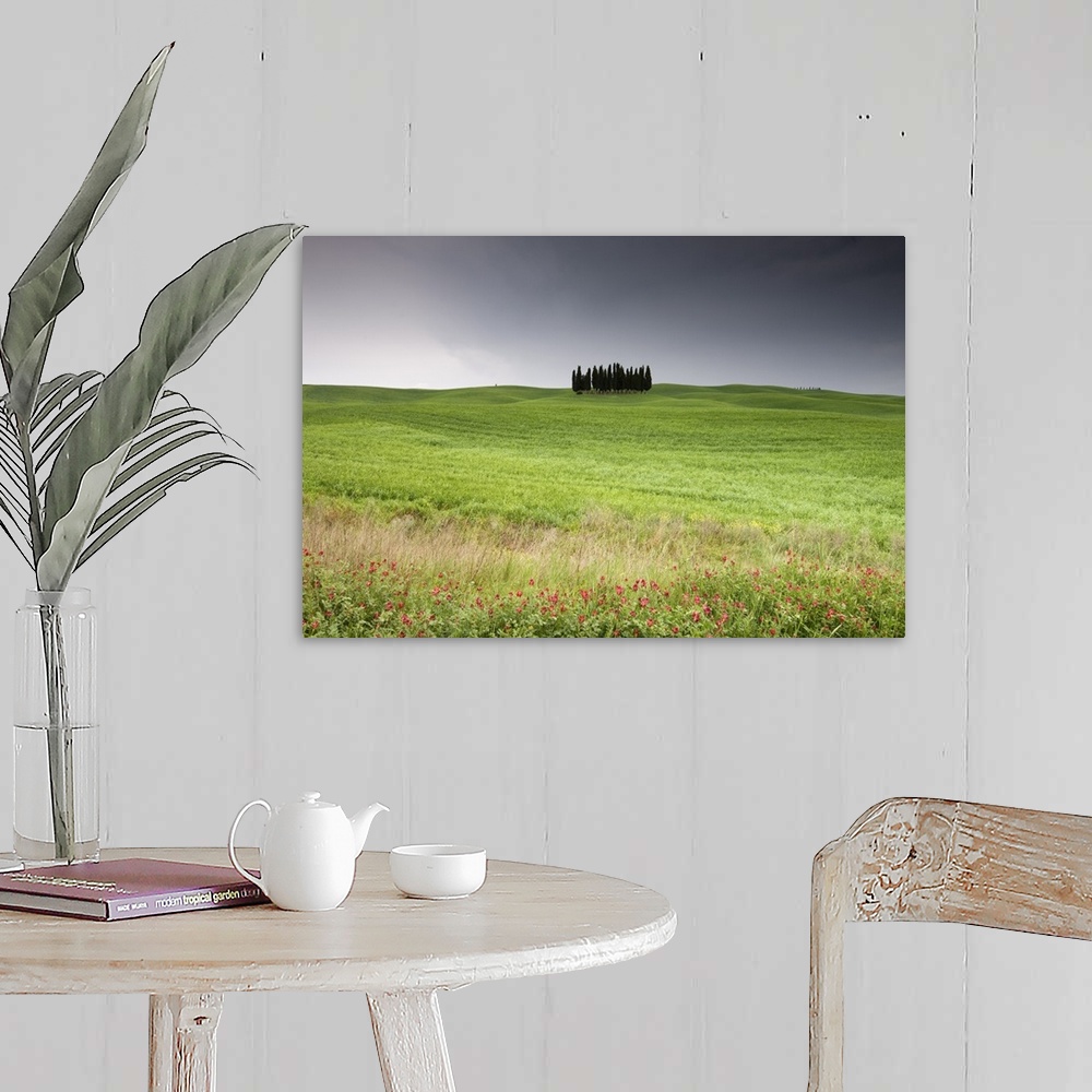A farmhouse room featuring Cypress trees near San Quirico d'Orcia, Val d'Orcia, Siena province, Tuscany, Italy