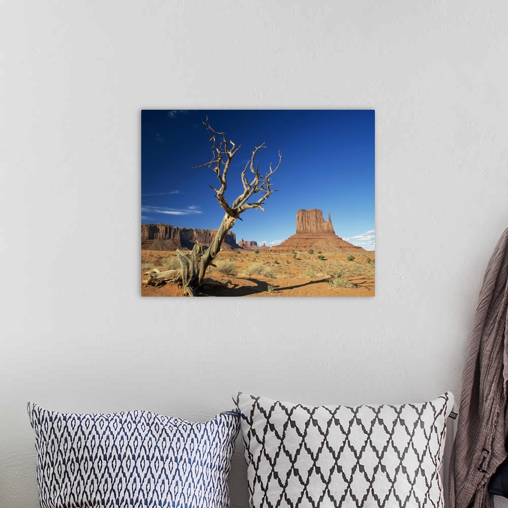 A bohemian room featuring Dead tree in the desert landscape with rock formations, Monument Valley, Arizona