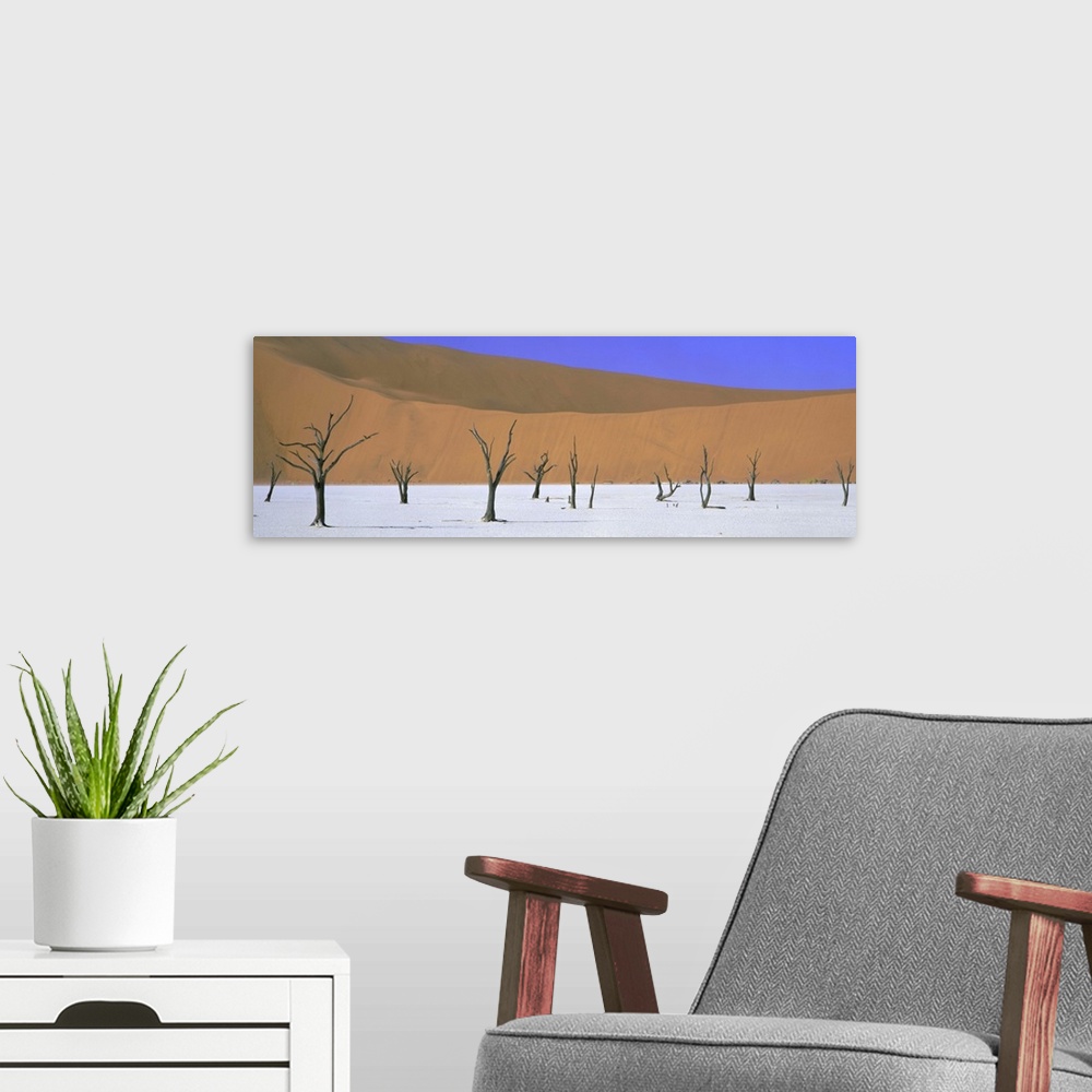 A modern room featuring Dead trees and orange sand dunes, Dead Vlei, Namib Desert, Namibia, Africa