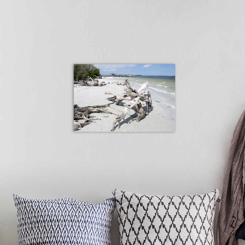 A bohemian room featuring Driftwood on beach with fishing pier in background, Sanibel Island, Gulf Coast, Florida