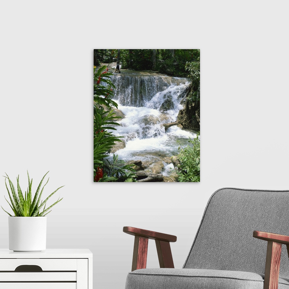 A modern room featuring Dunns River Falls, Ocho Rios, Jamaica, West Indies, Caribbean