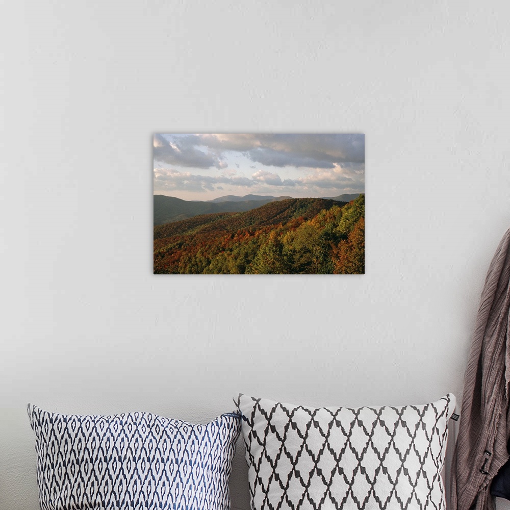 A bohemian room featuring Earling morning landscape, Blue Ridge Parkway, North Carolina, USA
