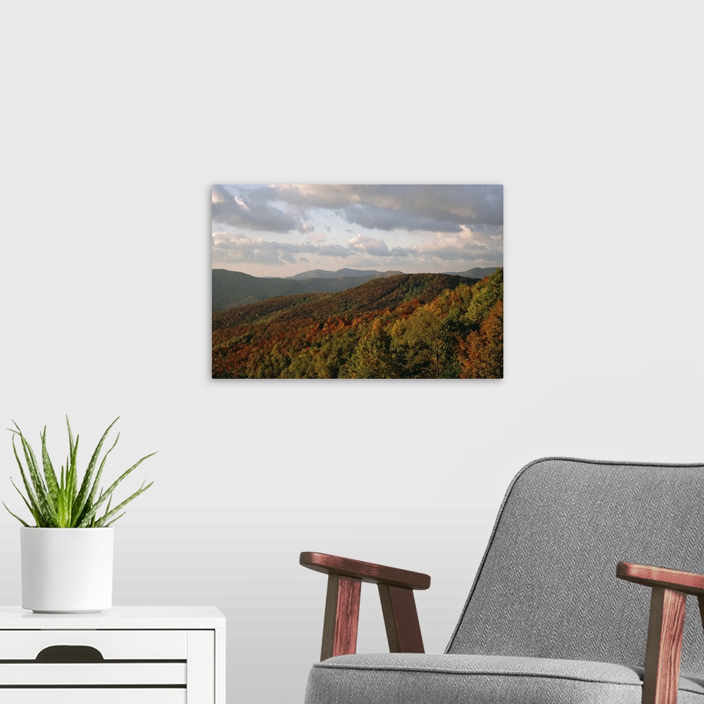 A modern room featuring Earling morning landscape, Blue Ridge Parkway, North Carolina, USA
