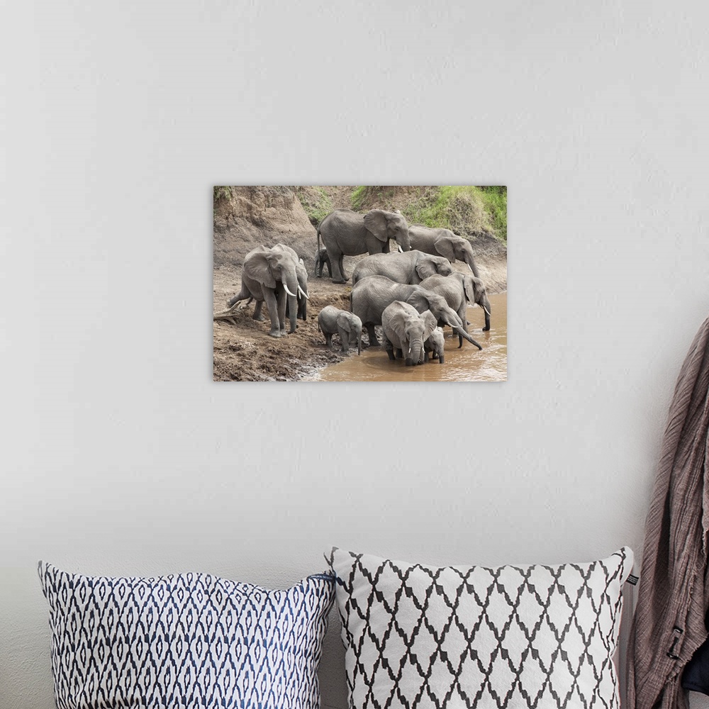 A bohemian room featuring Elephants at Mara River, Masai Mara National Reserve, Kenya, Africa