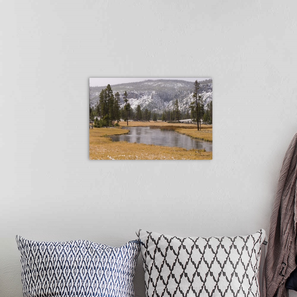 A bohemian room featuring Elk, Firehole River, Yellowstone National Park, Wyoming