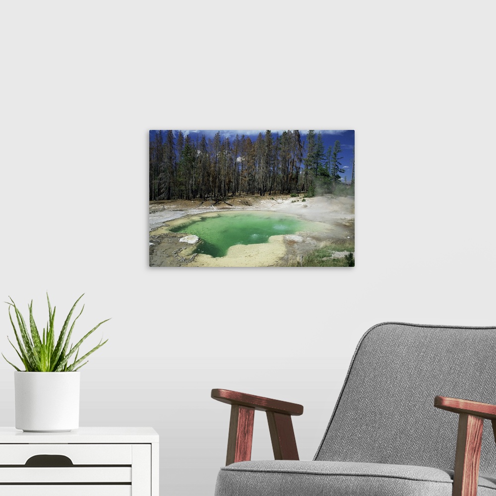 A modern room featuring Emerald Spring, Yellowstone National Park, Wyoming
