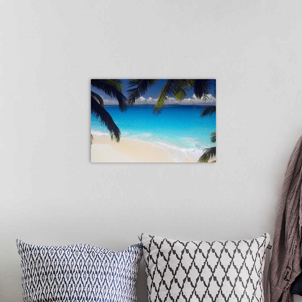 A bohemian room featuring Empty beach and palms trees, Seychelles, Indian Ocean, Africa