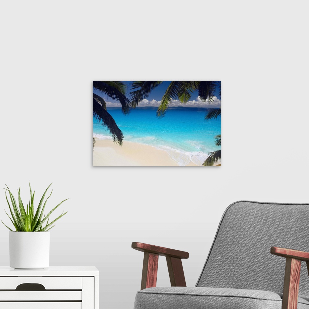 A modern room featuring Empty beach and palms trees, Seychelles, Indian Ocean, Africa