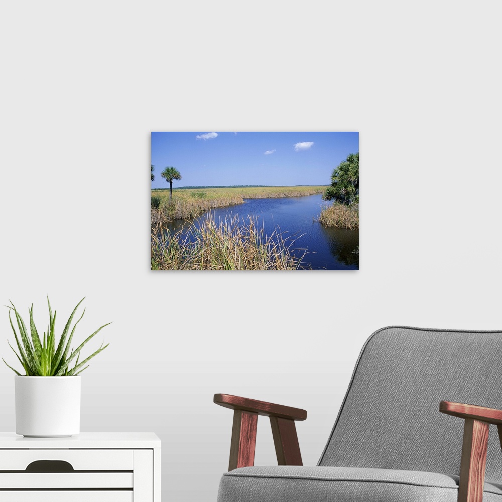 A modern room featuring Everglades National Park, Florida, USA