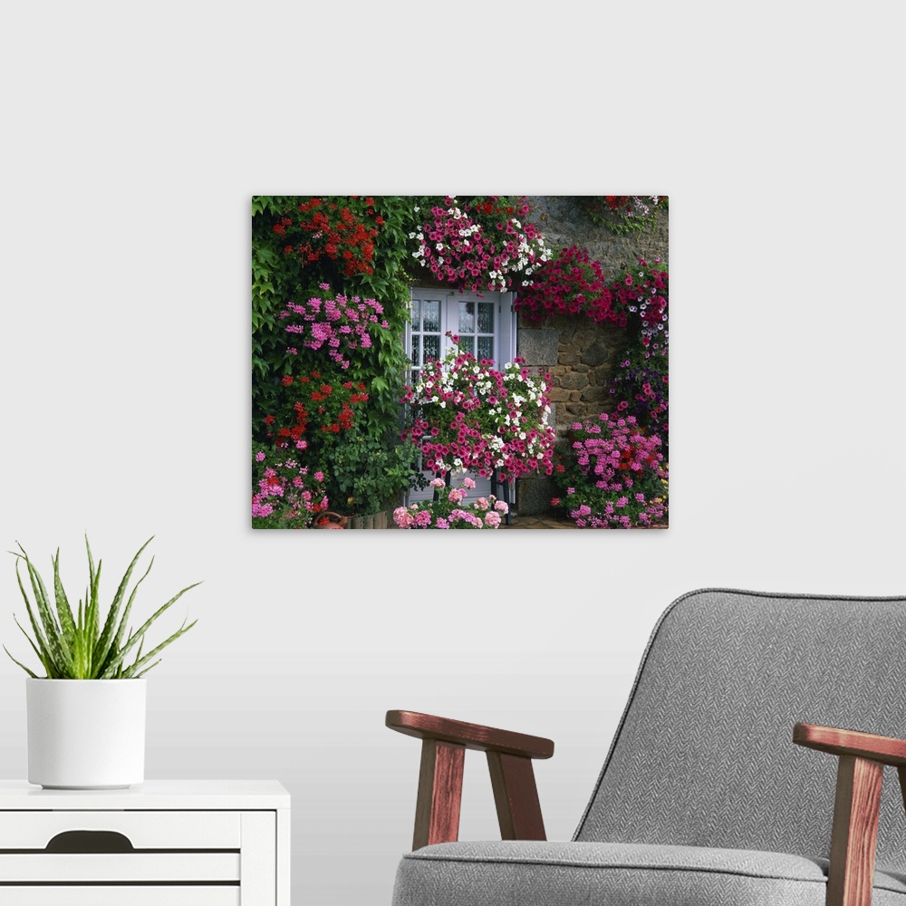 A modern room featuring Farmhouse window surrounded by flowers, Ille-et-Vilaine, Brittany, France