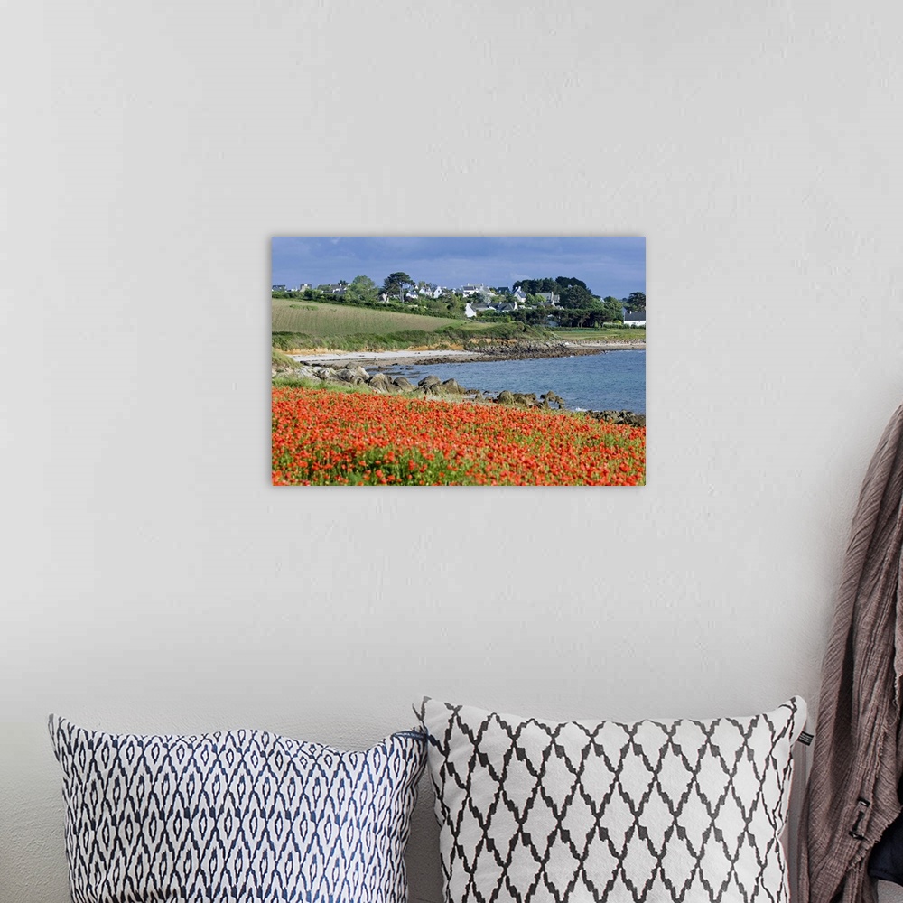 A bohemian room featuring Field of poppies, Saint Sanson en Plouganou, North Finistere, Brittany, France