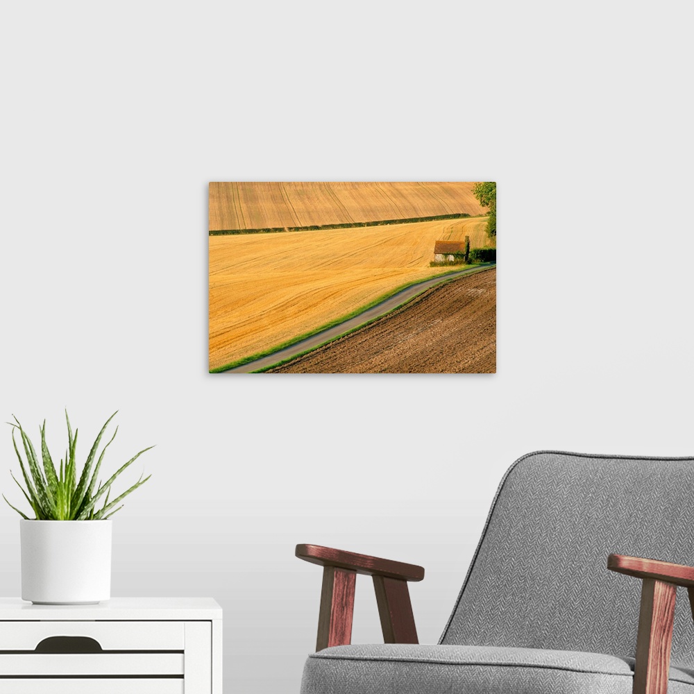 A modern room featuring Fields and rural road near Old Winchester Hill, Hampshire, England, UK