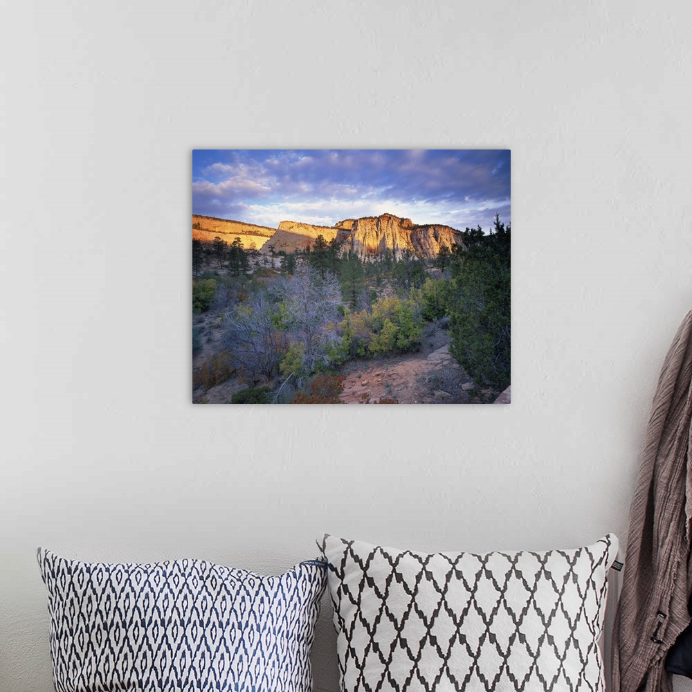 A bohemian room featuring First light on the hills, Zion National Park, Utah