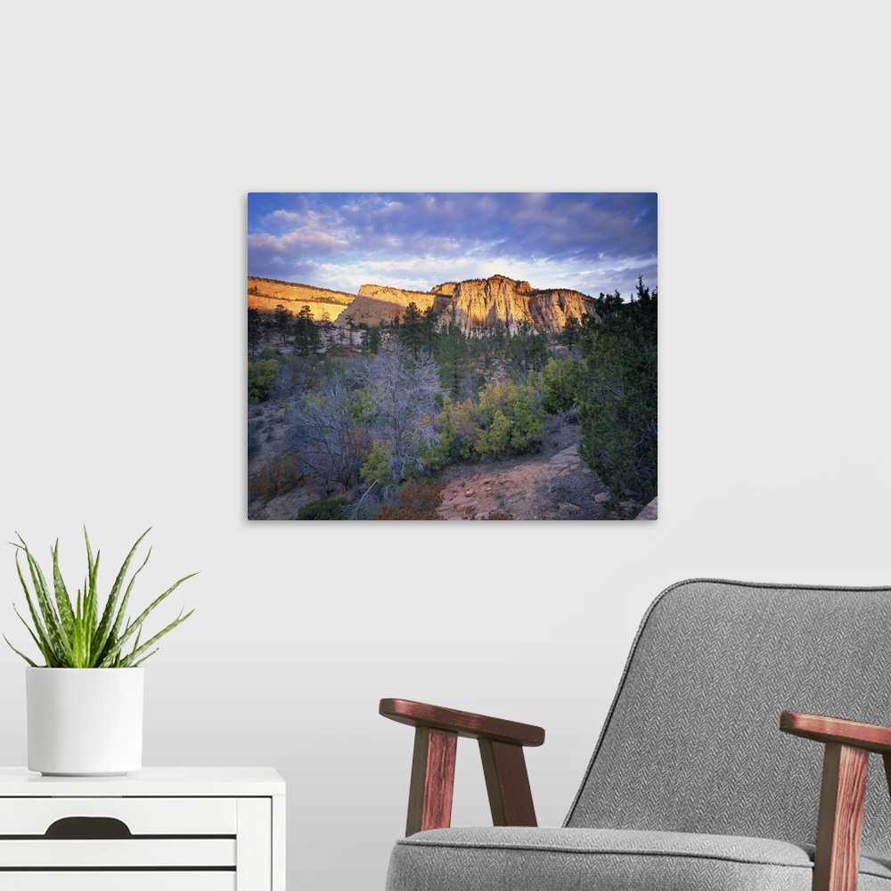 A modern room featuring First light on the hills, Zion National Park, Utah