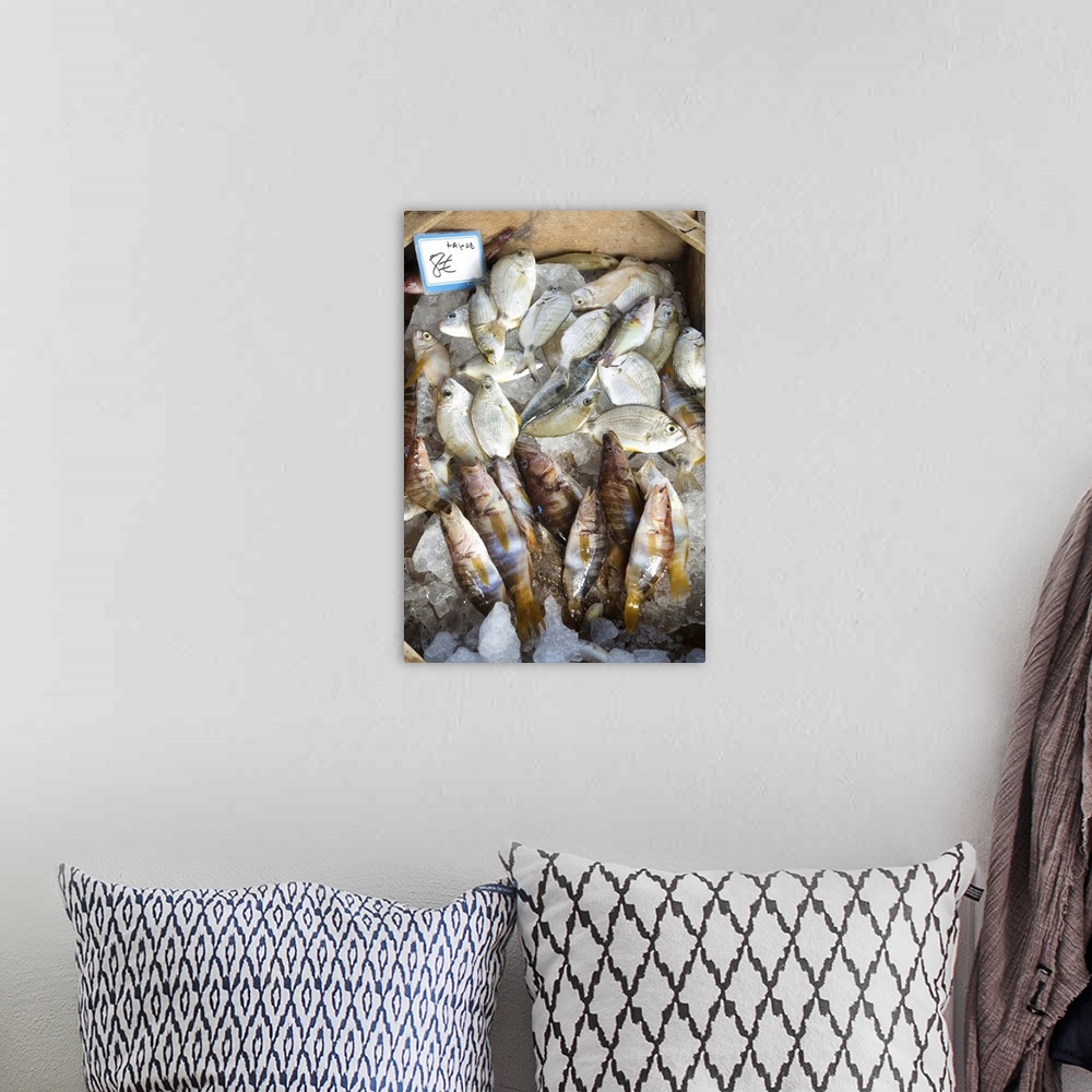 A bohemian room featuring Fish sold on the harbour, Crete, Greek Islands, Greece, Europe