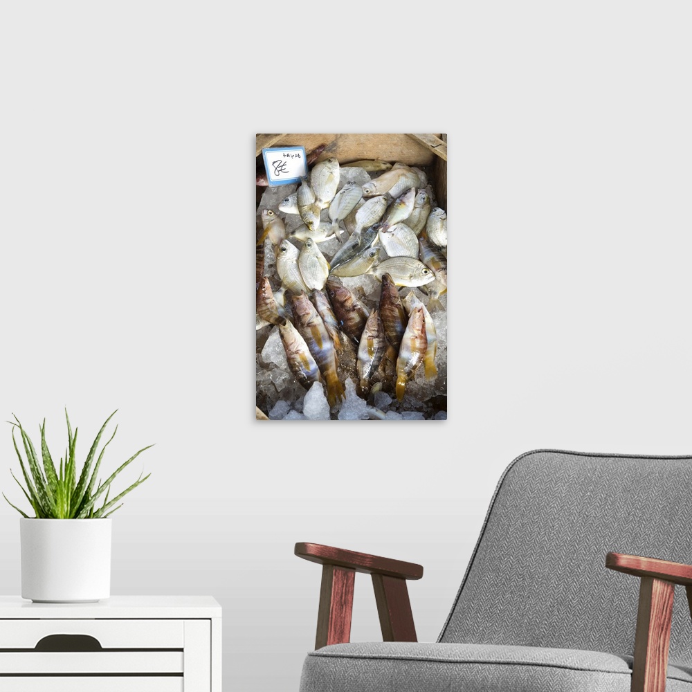 A modern room featuring Fish sold on the harbour, Crete, Greek Islands, Greece, Europe
