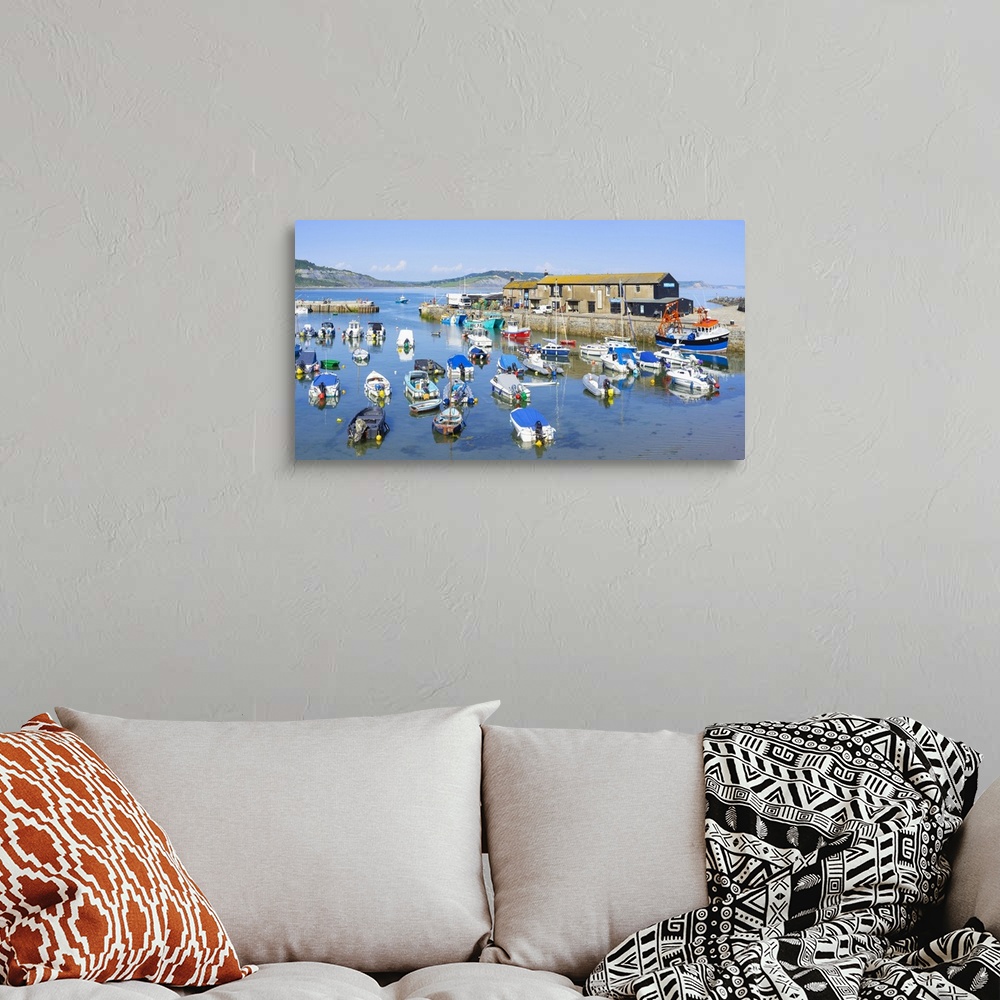 A bohemian room featuring Fishing boats and yachts in the Jurassic Coast harbour at Lyme Regis, Dorset, England, United Kin...