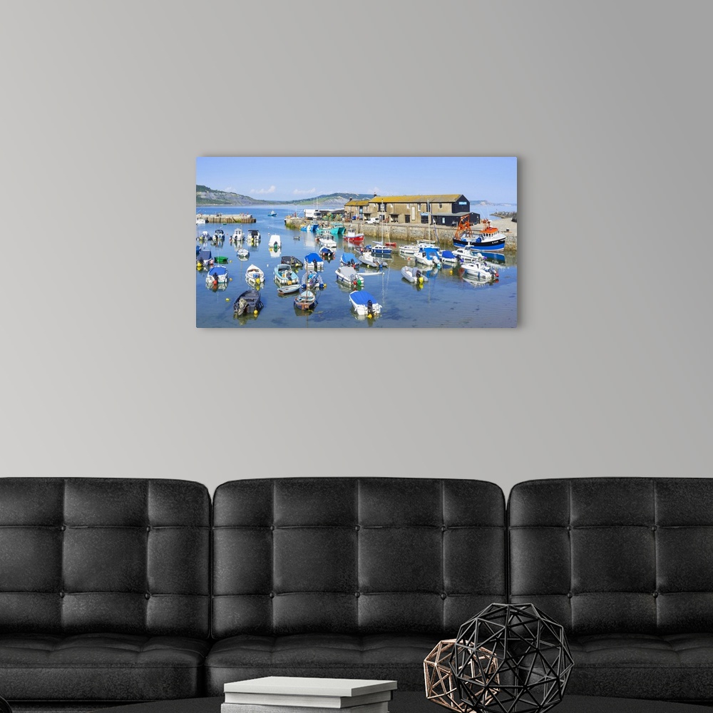A modern room featuring Fishing boats and yachts in the Jurassic Coast harbour at Lyme Regis, Dorset, England, United Kin...